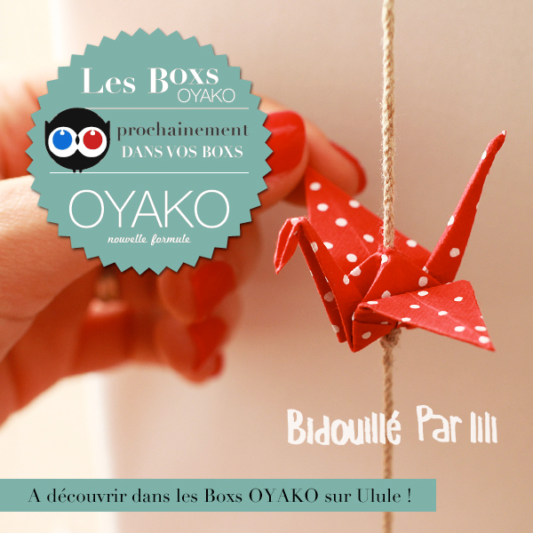 Bidouillé par lili mis en boîte par OYAKO